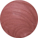 Brillo de Labios (Varios Tonos) ZAO