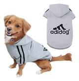 Poleron O Sudadera Deportiva Para Mascota Perro Y Gato
