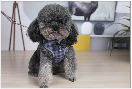 Arnés O Traje Elegante Para Mascotas Perro