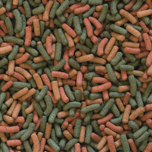 Alimento Para Tortugas Biorept W Acuática Semiacuática 150g
