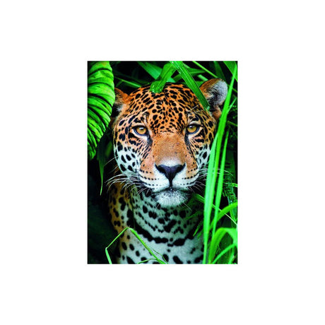 Retrato Jaguar Rompecabezas 500 Pz Clementoni Jungla Mexico