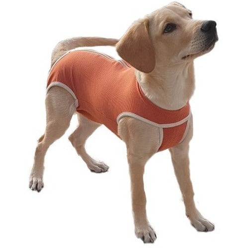 Body De Cobre Quirúrgico Talla 3 Castración Perro Macho