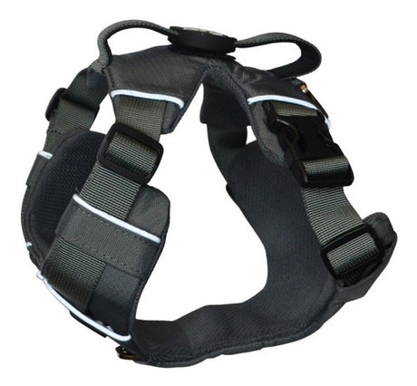 Arnés Resistente Outdoor Petlounge Para Perros Talla S