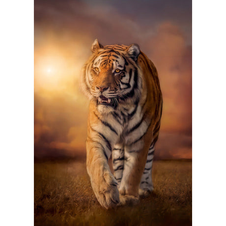 Puzzle Clementoni Tigre Bengala Majestuoso 1500 Pz