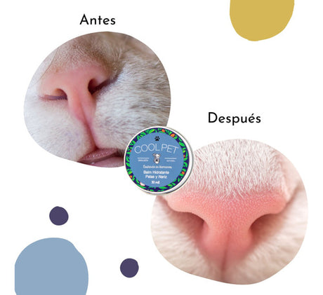 Balm Hidratante Karité Coolpet Para Mascotas Perro Gato 60ml