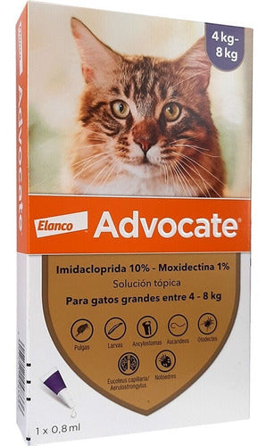 Advocate Antiparasitario Pipeta Para Gatos De 4 A 8 Kg