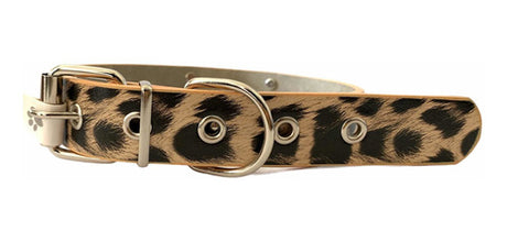 Collar De Cuero Diseño Estrella 36-46 Cm Para Mascota Perro