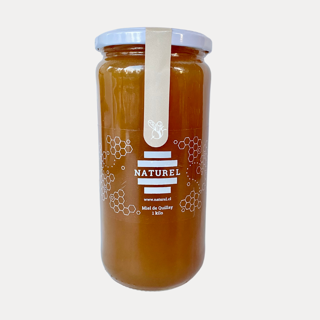 Miel de Quillay 1 Kilo