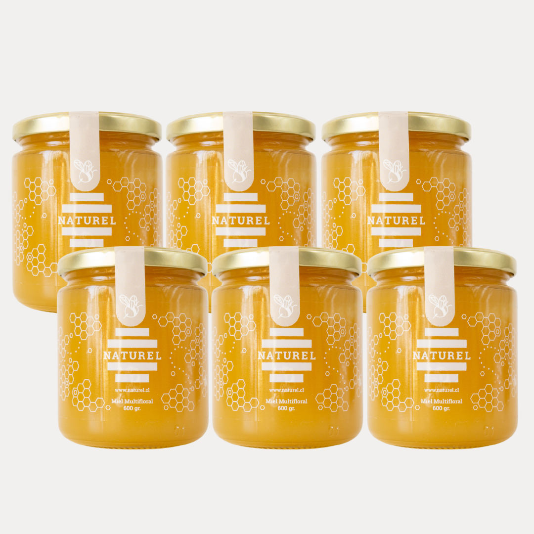 Pack Miel Multifloral 6 unidades