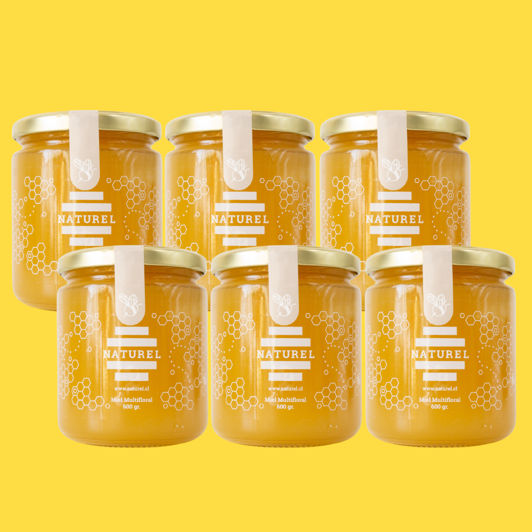 Pack Miel Multifloral 6 unidades