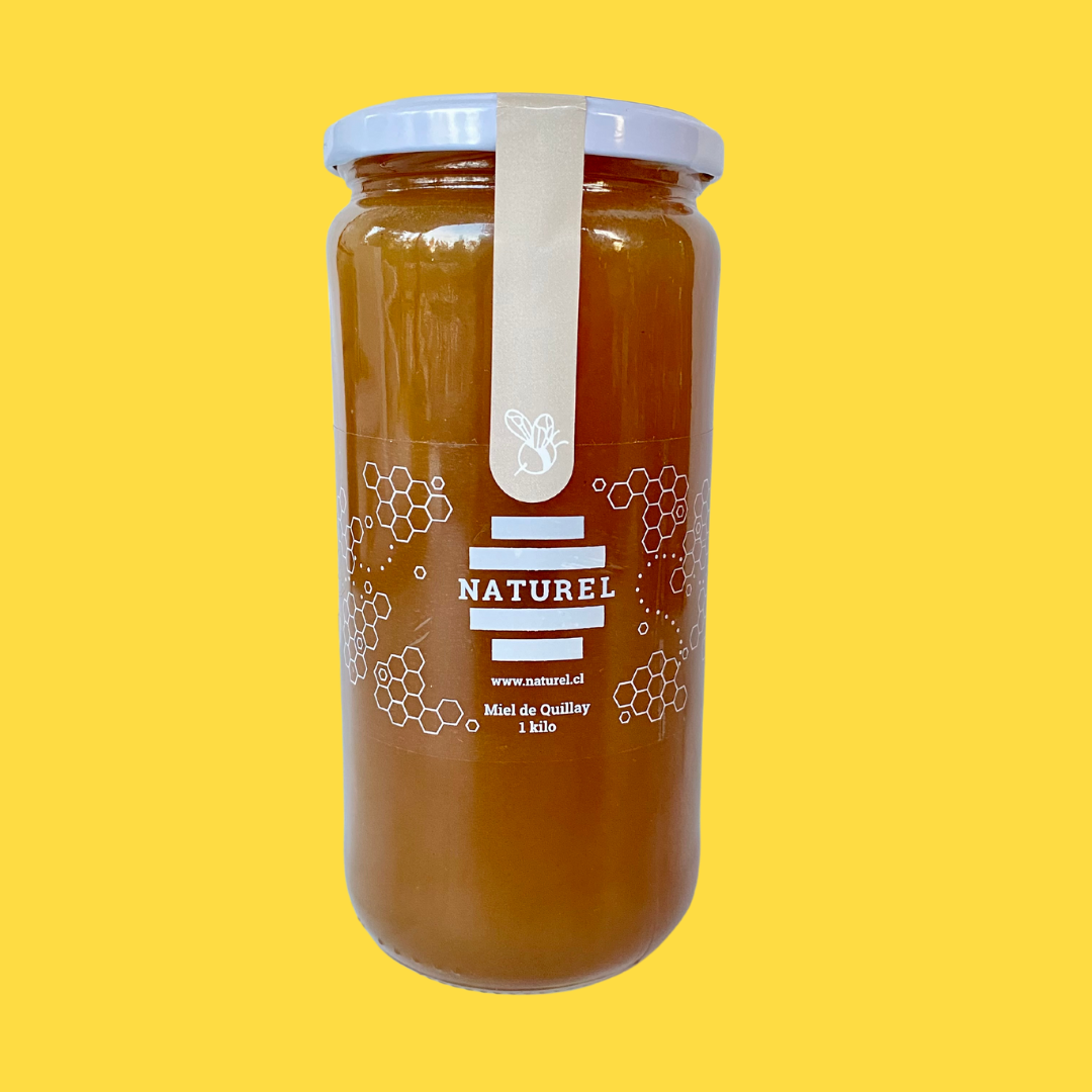 Miel de Quillay 1 Kilo