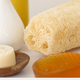 Luffa vegetal | Esponja multiuso