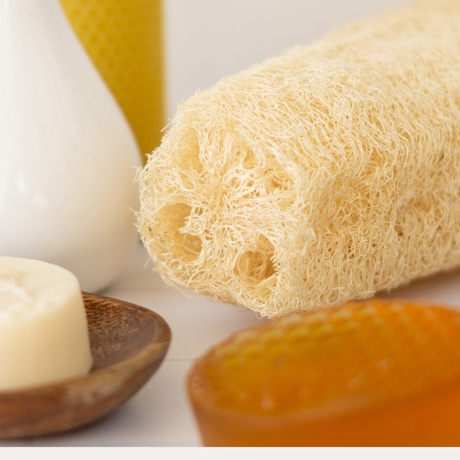 Luffa vegetal | Esponja multiuso